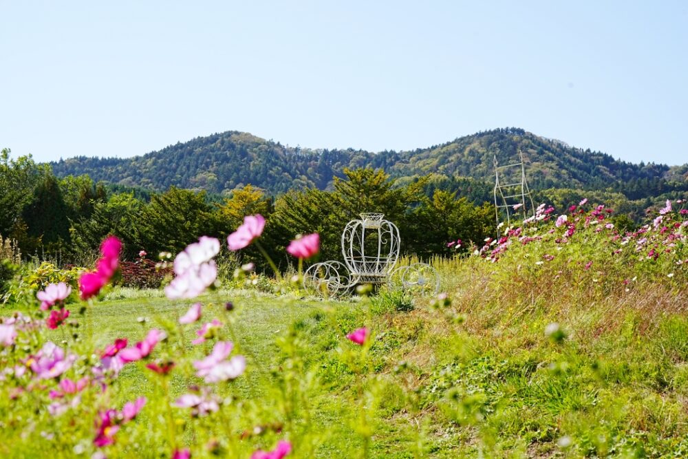 ゆにガーデンの絶景